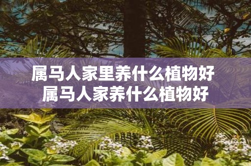属马人家里养什么植物好 属马人家养什么植物好