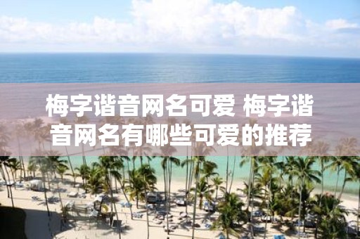 梅字谐音网名可爱 梅字谐音网名有哪些可爱的推荐