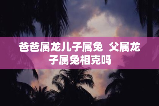 爸爸属龙儿子属兔 父属龙子属兔相克吗