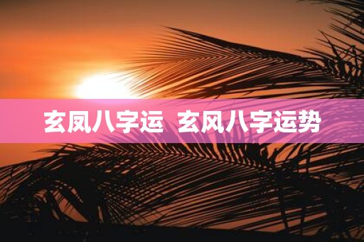 玄凤八字运 玄风八字运势