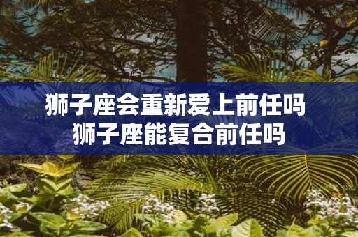 狮子座会重新爱上前任吗 狮子座能复合前任吗