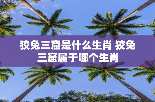 狡兔三窟是什么生肖 狡兔三窟属于哪个生肖