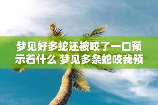 梦见好多蛇还被咬了一口预示着什么 梦见多条蛇咬我预示什么