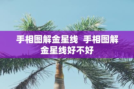 手相图解金星线 手相图解金星线好不好