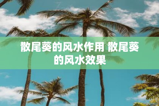 散尾葵的风水作用 散尾葵的风水效果