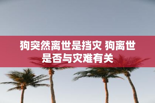 狗突然离世是挡灾 狗离世是否与灾难有关