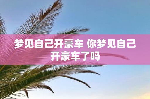 梦见自己开豪车 你梦见自己开豪车了吗