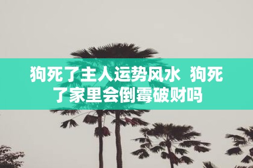 狗死了主人运势风水 狗死了家里会倒霉破财吗