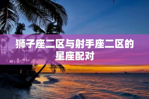 狮子座二区与射手座二区的星座配对