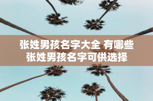 张姓男孩名字大全 有哪些张姓男孩名字可供选择