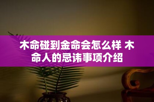 木命碰到金命会怎么样 木命人的忌讳事项介绍
