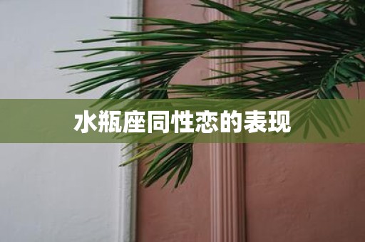 水瓶座同性恋的表现