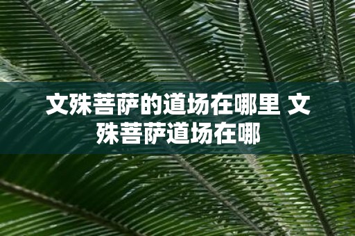 文殊菩萨的道场在哪里 文殊菩萨道场在哪