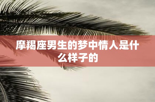 摩羯座男生的梦中情人是什么样子的