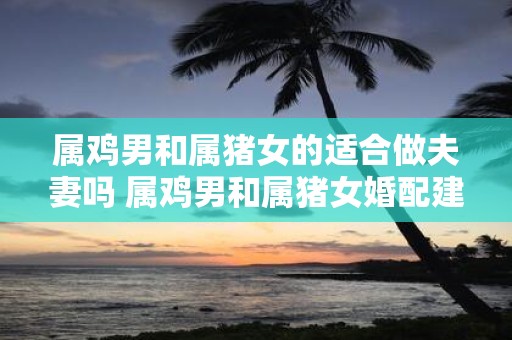 属鸡男和属猪女的适合做夫妻吗 属鸡男和属猪女婚配建议