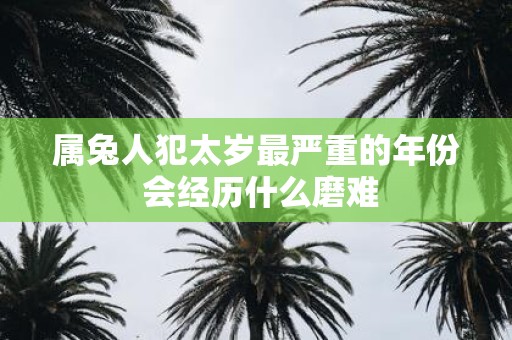 属兔人犯太岁最严重的年份 会经历什么磨难