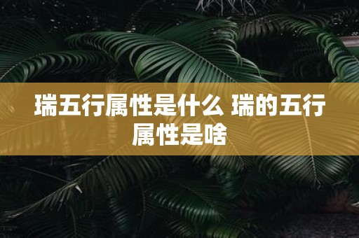 瑞五行属性是什么 瑞的五行属性是啥