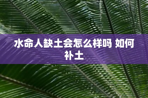 水命人缺土会怎么样吗 如何补土