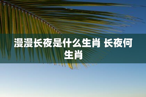 漫漫长夜是什么生肖 长夜何生肖
