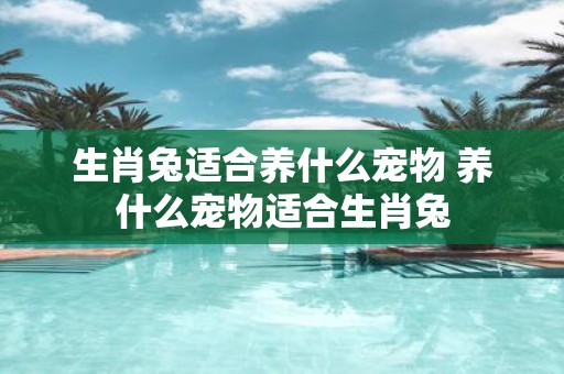 生肖兔适合养什么宠物 养什么宠物适合生肖兔