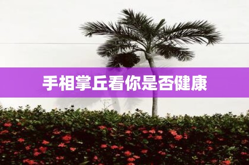 手相掌丘看你是否健康