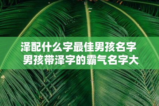 泽配什么字最佳男孩名字 男孩带泽字的霸气名字大全