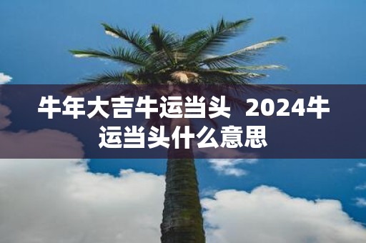 牛年大吉牛运当头 2025牛运当头什么意思