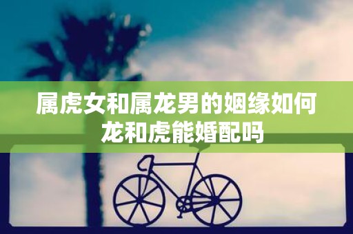 属虎女和属龙男的姻缘如何 龙和虎能婚配吗
