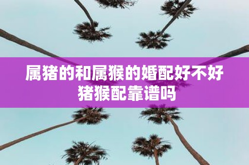 属猪的和属猴的婚配好不好 猪猴配靠谱吗