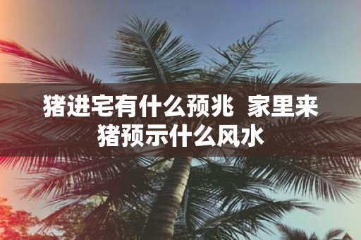 猪进宅有什么预兆 家里来猪预示什么风水