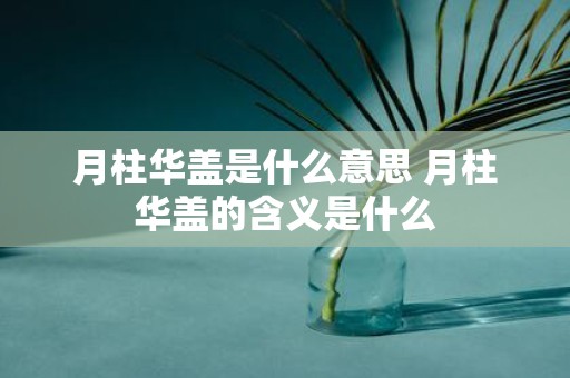 月柱华盖是什么意思 月柱华盖的含义是什么