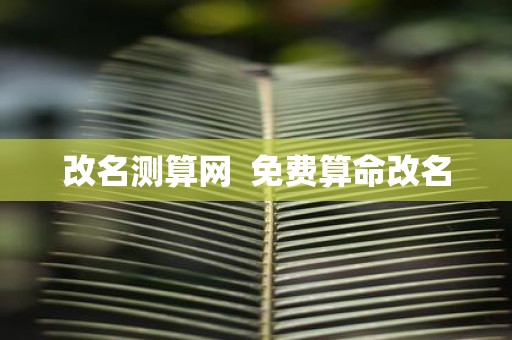 改名测算网 免费算命改名