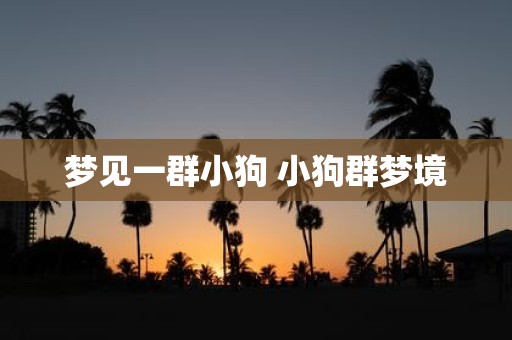 梦见一群小狗 小狗群梦境