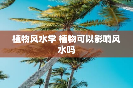 植物风水学 植物可以影响风水吗