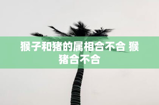 猴子和猪的属相合不合 猴猪合不合
