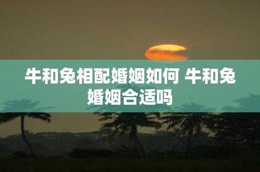 牛和兔相配婚姻如何 牛和兔婚姻合适吗