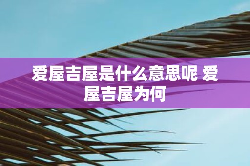 爱屋吉屋是什么意思呢 爱屋吉屋为何