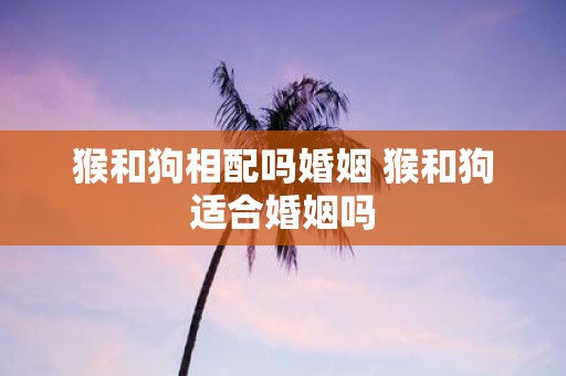 猴和狗相配吗婚姻 猴和狗适合婚姻吗