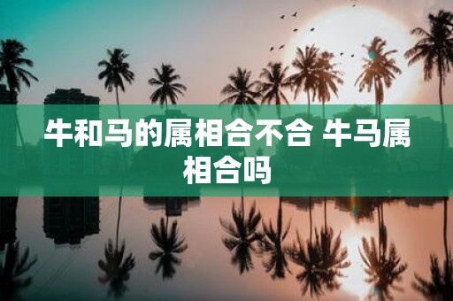 牛和马的属相合不合 牛马属相合吗