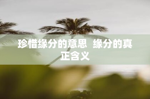 珍惜缘分的意思 缘分的真正含义