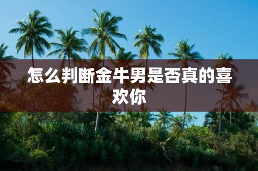 怎么判断金牛男是否真的喜欢你