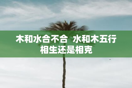 木和水合不合 水和木五行相生还是相克