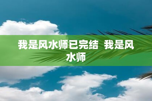 我是风水师已完结 我是风水师