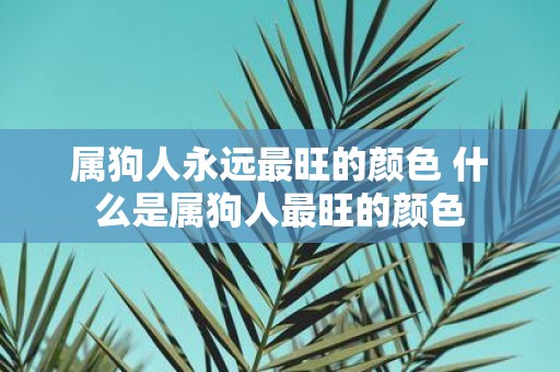 属狗人永远最旺的颜色 什么是属狗人最旺的颜色