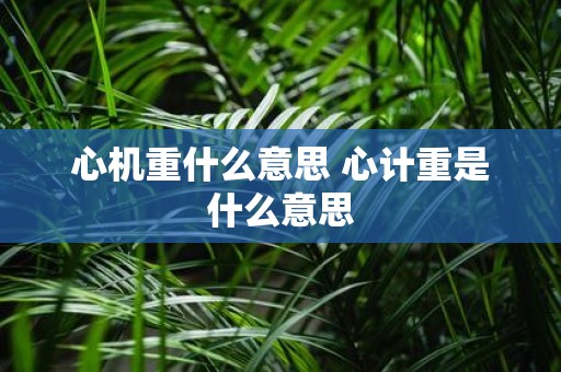 心机重什么意思 心计重是什么意思