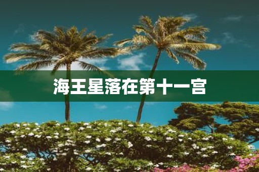 海王星落在第十一宫