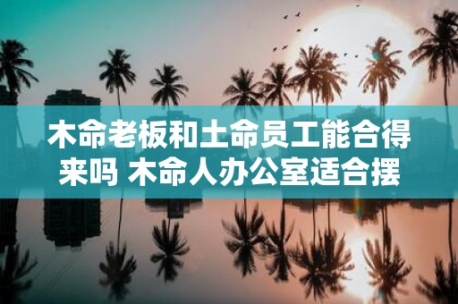木命老板和土命员工能合得来吗 木命人办公室适合摆放什么