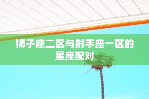 狮子座二区与射手座一区的星座配对