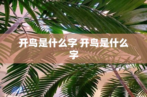 开鸟是什么字 开鸟是什么字