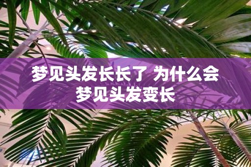 梦见头发长长了 为什么会梦见头发变长